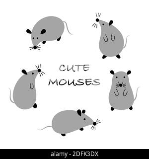 Cartoon rats. Set of 5 cute gray mouses in different poses on a white background. Vector flat illustration. Stock Vector