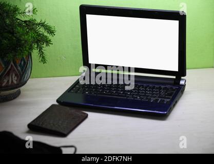 old PC white screen on the wooden table with money wallet , plant pot and mask, Old Laptop with succulent. Green wall background Stock Photo