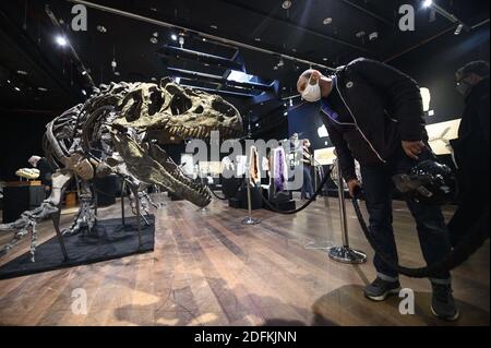 An Allosaurus skeleton displayed at the Drouot auction house, in Paris on October 12, 2020. More than 150 million-years -old, a rare Allosaurus skeleton, one of the oldest dinosaurs, considered by palaeontologists to be the 'grandfather' of the legendary T-Rex, will be auctioned in Paris by Maison Binoche et Giquello on October 13, the Drouot hotel. Almost 10 meters long and 3.5 meters high, the allosaurus is estimated to fetch between 1 and 1.2 million euros.Eliot Blondet/ABACAPRESS.COM Stock Photo