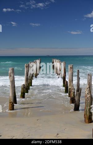 Old poles on St Clair beach in Dunedin Stock Photo