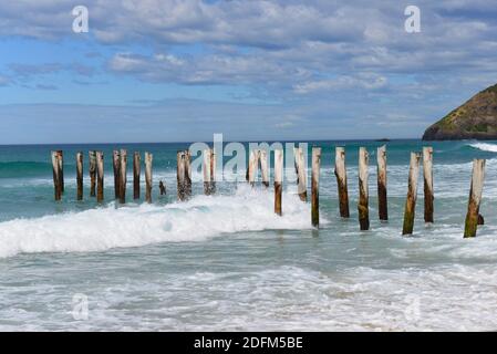 Old poles on St Clair beach in Dunedin Stock Photo