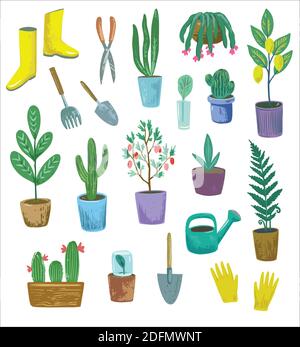 Set with home plants in the pots and gardening equipment. Stock Vector