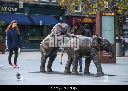 A Londoner standing next to the Herd of Hope sculptures, part of the 21 life-size bronze elephants modeled after orphans in the care of the Sheldrick Wildlife Trust in Kenya. The models and artists Gillie and Marcart, first showcased in London around December 2019. Stock Photo