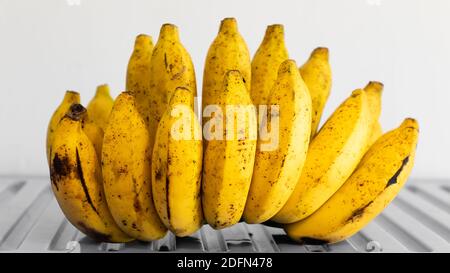 Vertical view of a bunch of fresh natural grown cavendish bananas on the  right side of isolated blue Stock Photo by ImgSolut