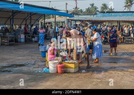 NEGOMBO, SRI LANKA - FEBRUARY 03, 2020: Morning on the fish market Stock Photo