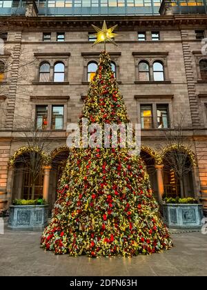 Christmas Tree in front of Lotte New York Palace hotel in New York City. Manhattan, New York. Stock Photo