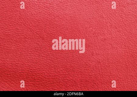 The texture of perforated leather. An empty colored surface. Blank for a design or template for a website. Stock Photo