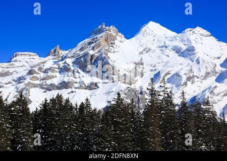Blumlisalp Rothorn, Oeschinenhorn, Blueemlisalp, Bernese Alps, Bern, Switzerland Stock Photo
