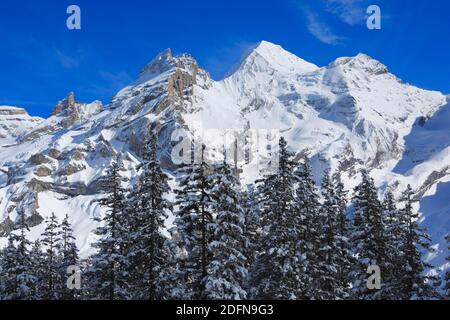Blueemlisalp Rothorn, Blueemlisalphorn, Oeschinenhorn, Bernese Alps, Switzerland Stock Photo