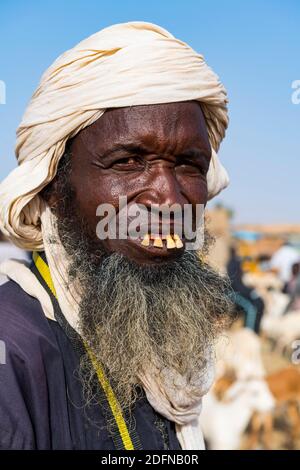 Tuareg at the animal market, Unesco world heritage sight Agadez, Niger Stock Photo