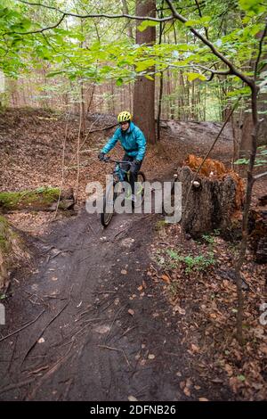 Isartrail, mountain bike trail in the forest, mountain bikers on a narrow trail, Isarauen, Munich, Upper Bavaria, Bavaria, Germany Stock Photo