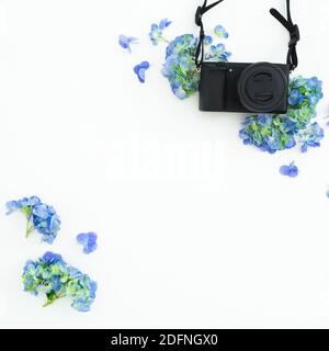 Retro film camera and pink flowers on white. Flat lay, Top view Stock Photo