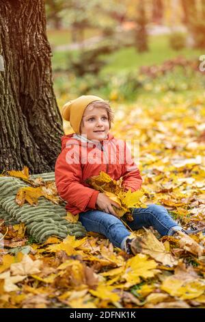 Cute little blond baby boy having fun outdoors in the park in autumn time sitting in the leaves under a tree in an autumn warm red color jacket and a Stock Photo