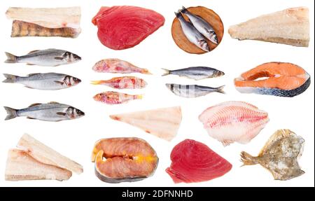 collection of frozen raw fishes (codfish, salmon, zander, pike-perch, sturgeon, tuna, seabass, trout, surmullet, herring, rockfish, sea perch, sole, e Stock Photo