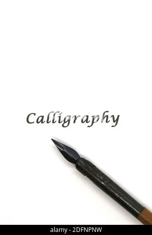 Photo of a Nib in a pen holder Calligraphy and score writing metal nibs against a white background with the word Calligraphy in black Stock Photo