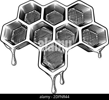 Bee Honeycomb Dripping with Honey Vintage Style Stock Vector