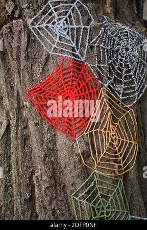 Knitted cobweb with colored threads on a tree trunk. Stock Photo