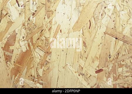 Pressed wooden shavings panel, texture of oriented strand board, OSB background. Stock Photo