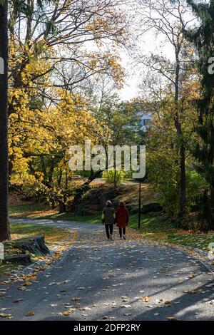 Young couple having a walk or stroll in park in autumn Stock Photo