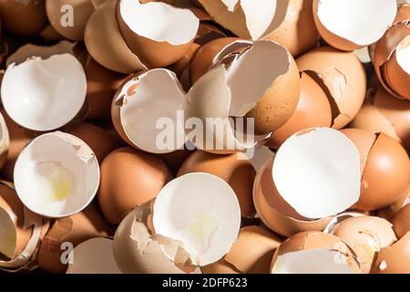 broken egg shells Stock Photo