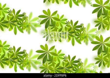 Seamless pattern with green natural leaves on white background, photo collage for floral print Stock Photo