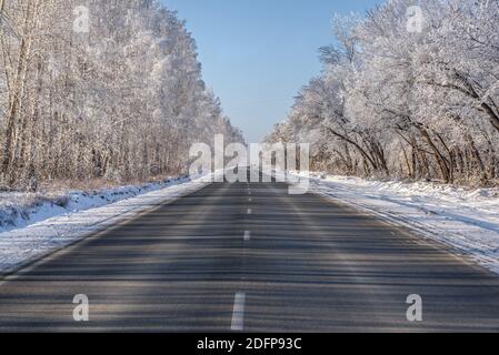 Amazing winter view with a straight asphalt road, shadows, trees in hoarfrost and snowdrifts on the side of the road against a blue sky Stock Photo