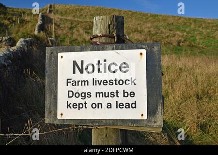 Isolated black and white sign with text: Notice Farm livestock Dogs must be kept on a lead. Blurred stone wall and field background. Stock Photo