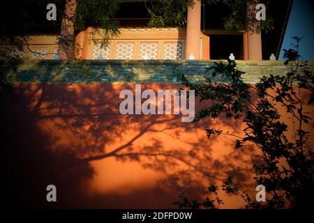 Tree shadow on the wall of Forbidden City in Beijing, China. Stock Photo