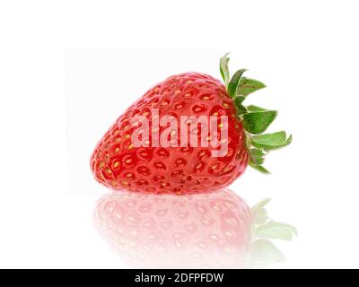 single fresh strawberry on white Stock Photo