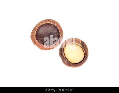 Split macadamia nut isolated on white background, top view Stock Photo