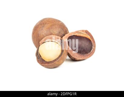 Macadamia nuts with a split half on a white background Stock Photo