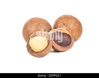 Macadamia nuts with a split half on a white background Stock Photo