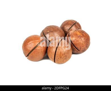 Several macadamia nuts on a white background Stock Photo