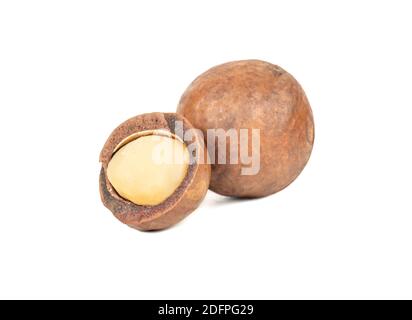 Split macadamia nut isolated on white background Stock Photo