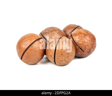 Several macadamia nuts on a white background Stock Photo