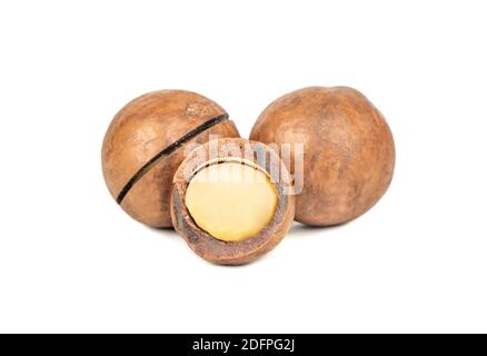 Macadamia nuts with a split half on a white background Stock Photo