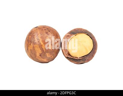 Macadamia nut with split half isolated on white background Stock Photo