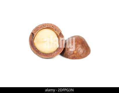 Split macadamia nut isolated on white background Stock Photo
