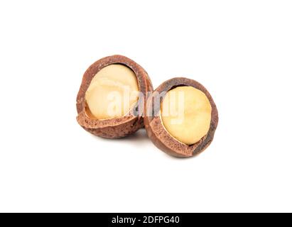 Two split macadamia nut halves isolated on a white background Stock Photo