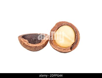 Macadamia nut split into two halves on a white background Stock Photo