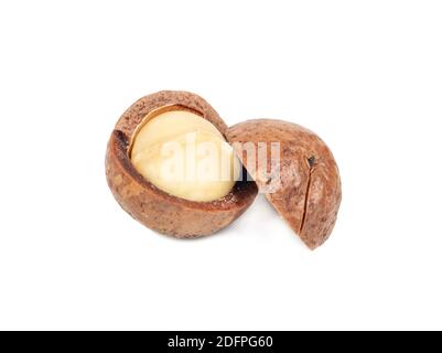 Split macadamia nut isolated on white background Stock Photo