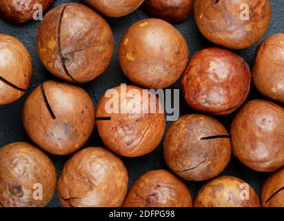 Scattered macadamia nuts in the shell close-up, top view Stock Photo
