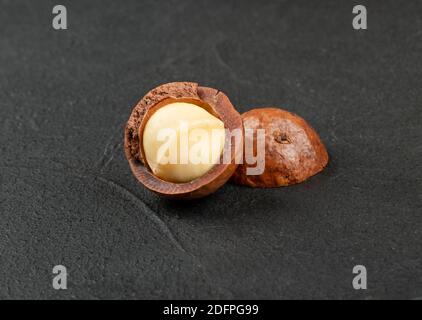 Macadamia nut split into two halves on a dark background Stock Photo
