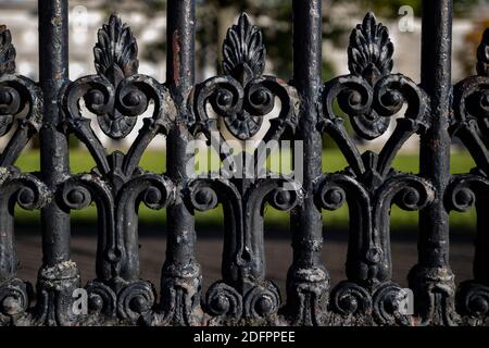 Detail of decorative metal fence with floral Elements. Dublin, Ireland Europe Stock Photo
