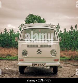 Vintage camper van with freshly cut Christmas tree on roof. Stock Photo