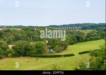 Traphont Cefn Mawr Rail Viaduct across the River Dee in the Vale of Llangollen in northeast Wales. As seen from the Pontcysyllte Aqueduct. Stock Photo