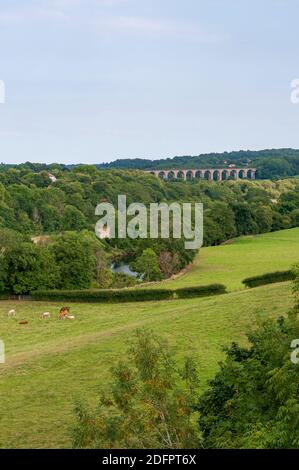 Traphont Cefn Mawr Rail Viaduct across the River Dee in the Vale of Llangollen in northeast Wales. As seen from the Pontcysyllte Aqueduct. Stock Photo