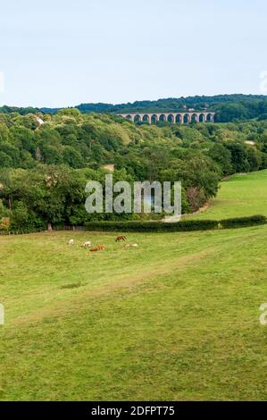 Traphont Cefn Mawr Rail Viaduct across the River Dee in the Vale of Llangollen in northeast Wales. As seen from the Pontcysyllte Aqueduct. Stock Photo