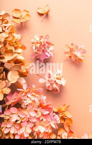 Dried flowers of hydrangea on brown paper. Floral background. Flat lay, top view. Stock Photo