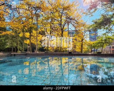 Beautiful autumn landscape of trees around the pool fountan in the park of Vancouver city BC. Stock Photo